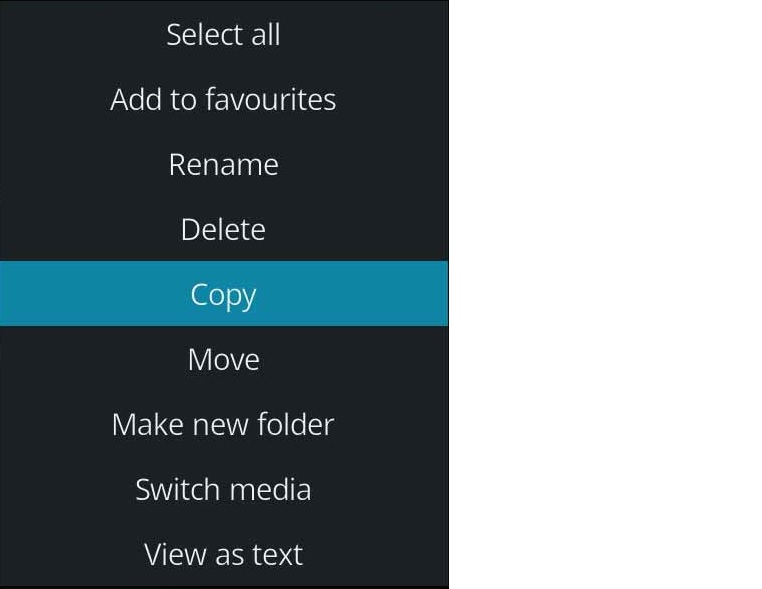 Filemanager_copyjpg.jpg